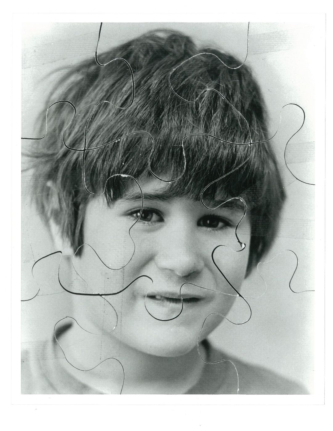 Josh — puzzle portrait